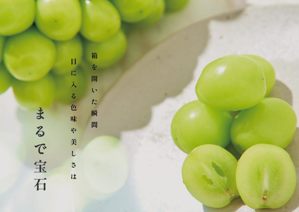 山梨県産 大粒シャインマスカット <1房,2房,3房> | Bonchi 山梨県産 大粒シャインマスカット <1房,2房,3房> | Bonchi