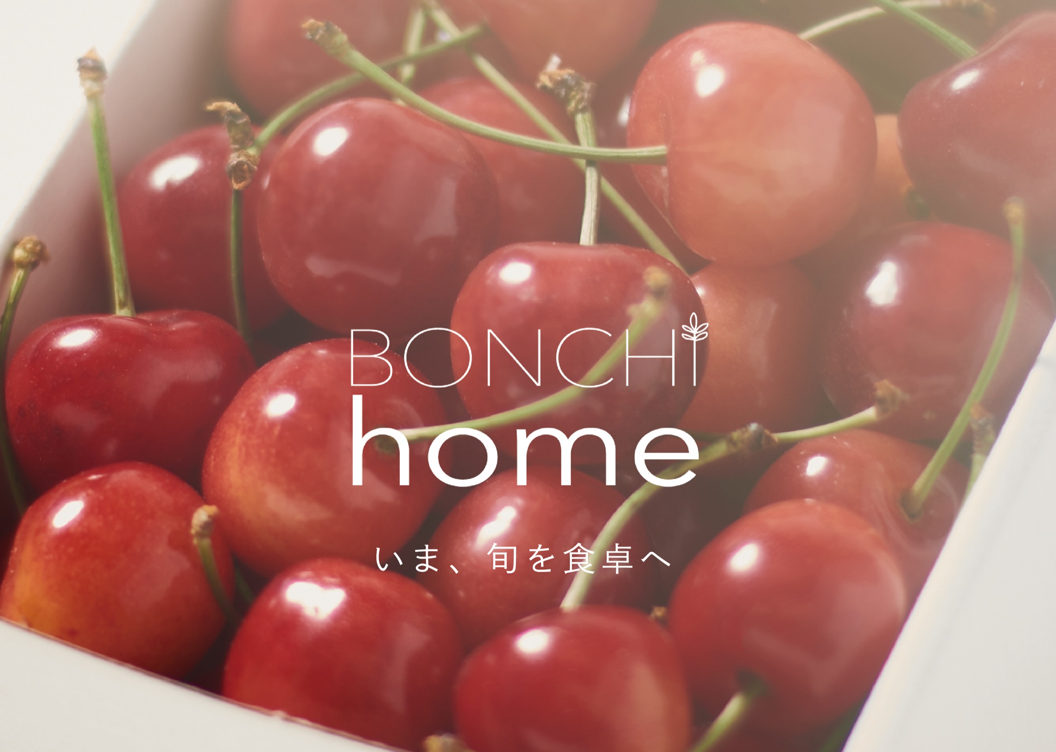 Bonchi home